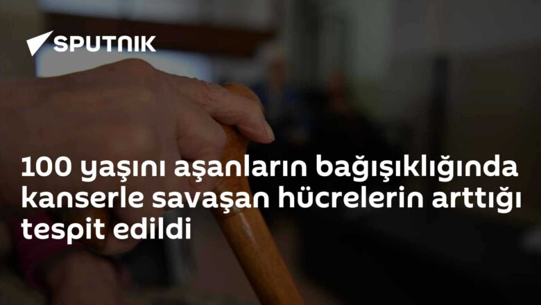 kanser hücreleri