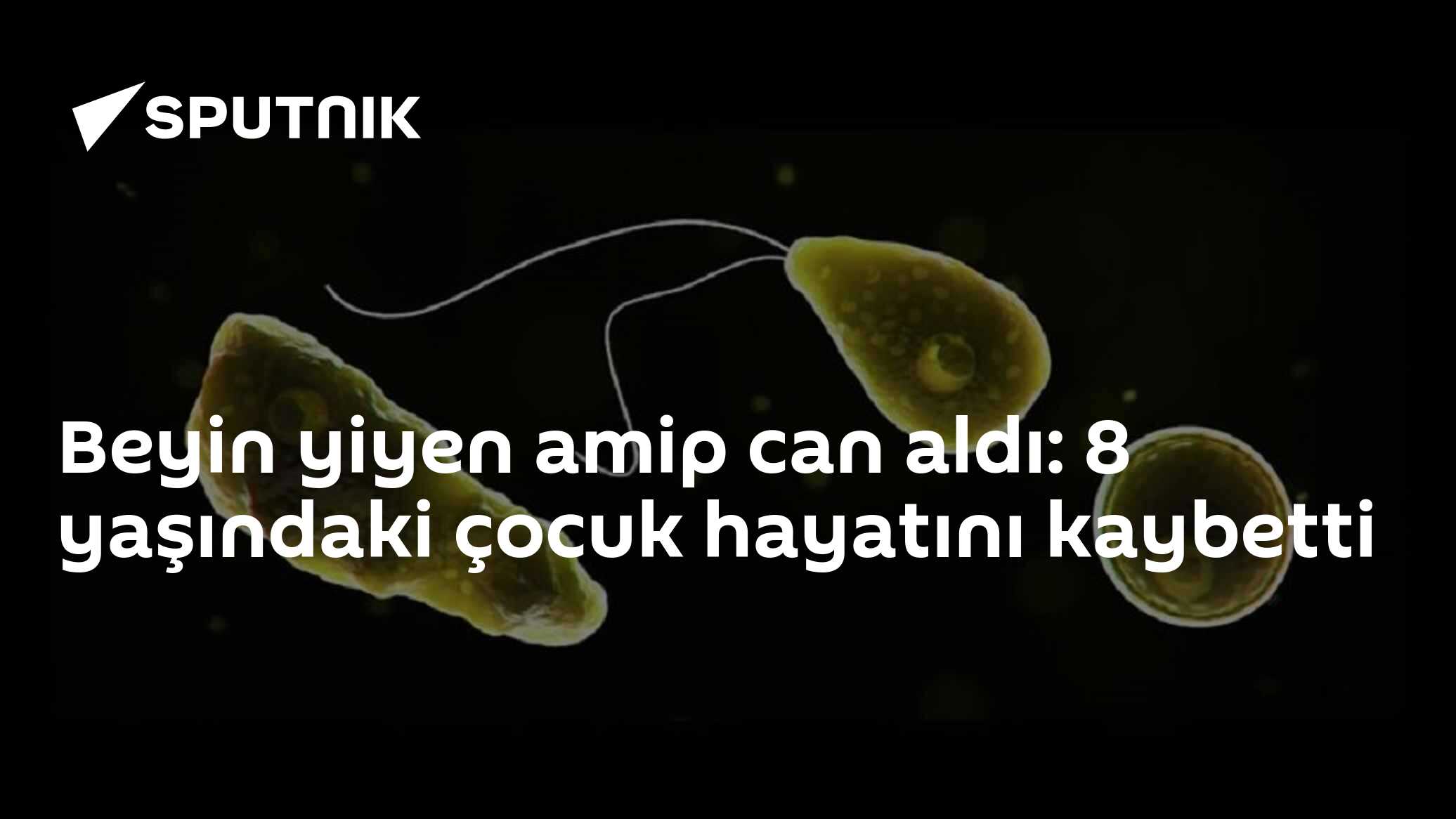 Naegleria fowleri