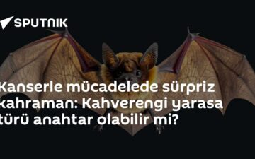 Protein Kinaz R