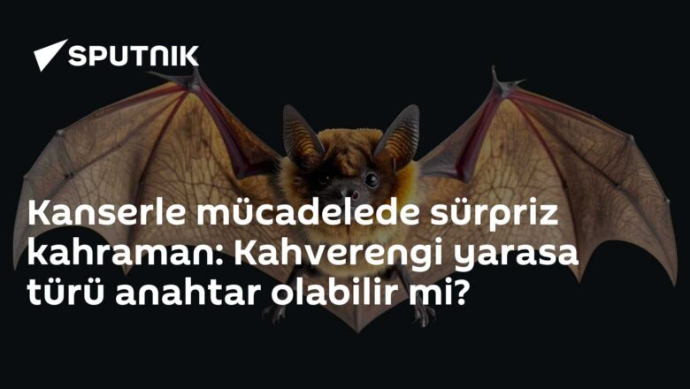 Protein Kinaz R