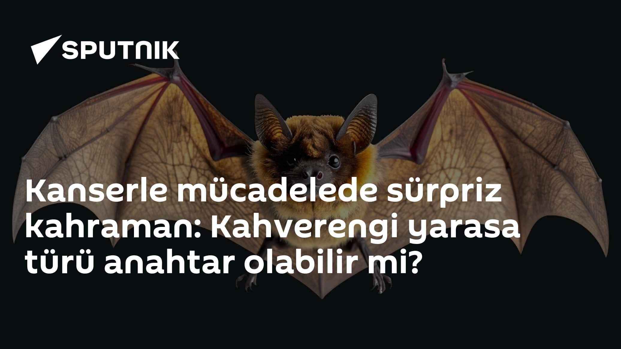Protein Kinaz R