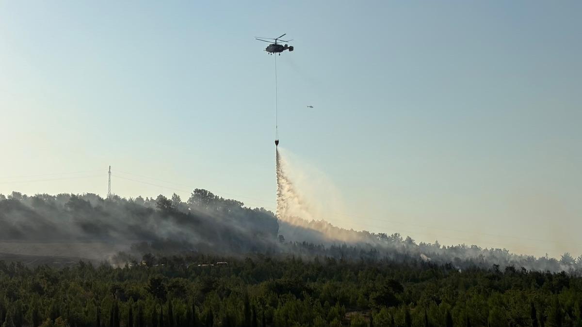 Çanakkale'de orman