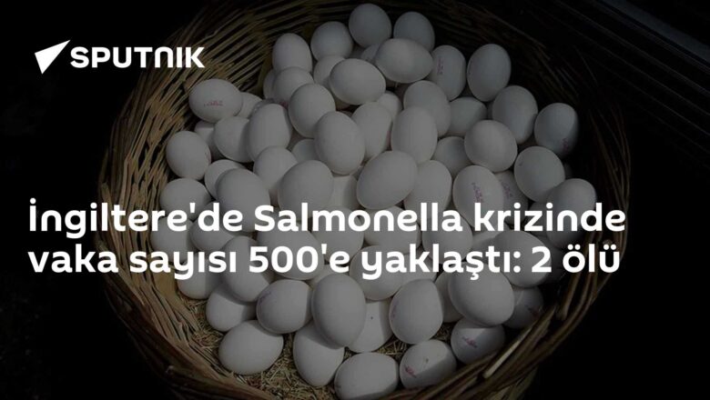 Salmonella