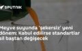 Şekersiz meyve suyu
