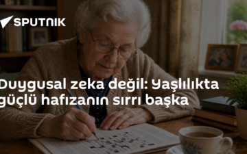 bilişsel rezerv