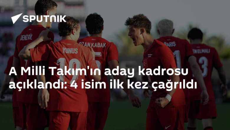 A Milli Takım aday kadrosu